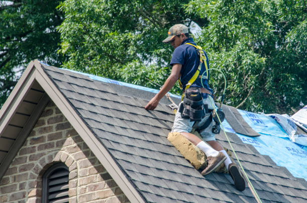 Best Shingle Roofing Installation  in Winthrop Harbor, IL